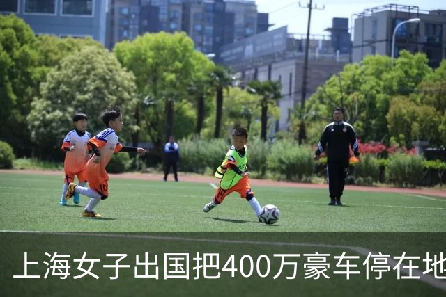 上海女子出国把400万豪车停在地库，回国掀开车衣傻眼：拆得只剩一副车架，防盗未触发一次警报！