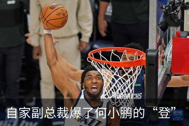 自家副总裁爆了何小鹏的“登”