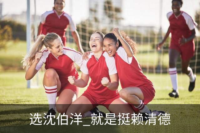 选沈伯洋 就是挺赖清德