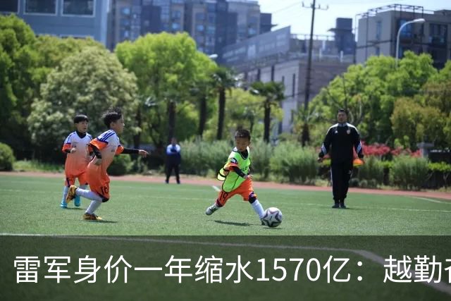 雷军身价一年缩水1570亿：越勤奋越成功的时代，翻篇了