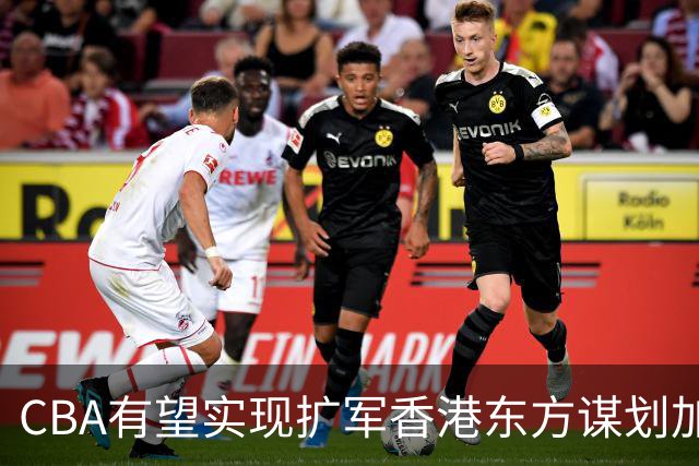 CBA有望实现扩军?香港东方谋划加入中职篮联赛